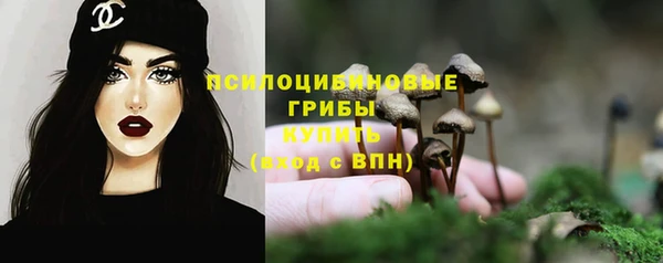 мдпв Вязники