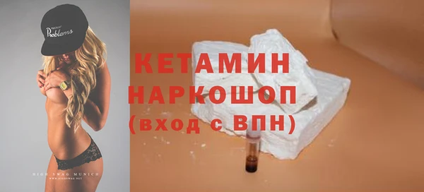 шишки Горняк