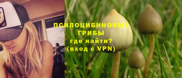 мдпв Вязники