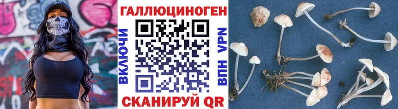 Псилоцибиновые грибы мицелий  Купить  Белореченск 